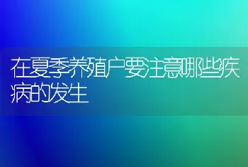 在夏季养殖户要注意哪些疾病的发生