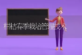 柑桔春季栽培管理技术