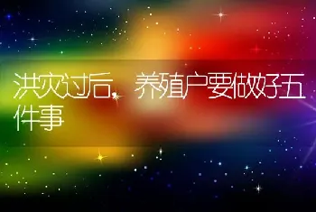 洪灾过后,养殖户要做好五件事