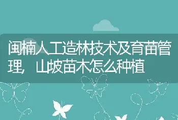 闽楠人工造林技术及育苗管理