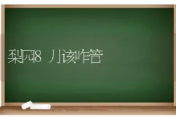 梨园8月该咋管