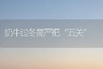 奶牛过冬需严把“五关”