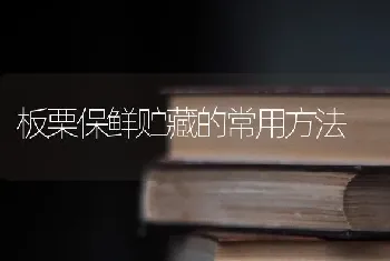 板栗保鲜贮藏的常用方法