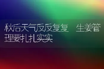 秋后天气反反复复 生姜管理要扎扎实实