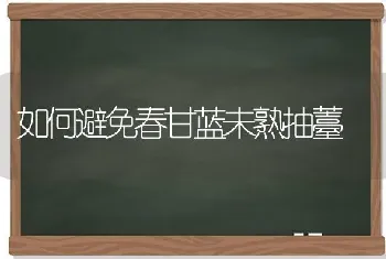 如何避免春甘蓝未熟抽薹