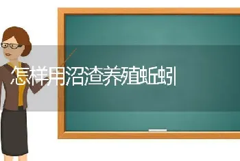 怎样用沼渣养殖蚯蚓