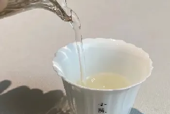 老白茶怎么煮 煮多久好喝