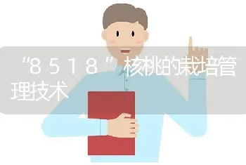 “8518”核桃的栽培管理技术