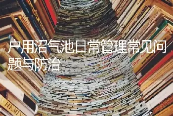 户用沼气池日常管理常见问题与防治