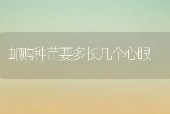 邮购种苗要多长几个心眼