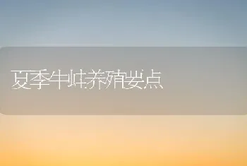 夏季牛蛙养殖要点