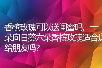 香槟玫瑰可以送闺蜜吗