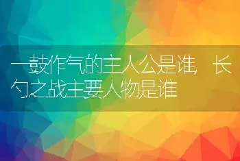 一鼓作气的主人公是谁