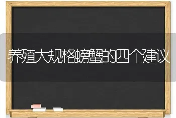 养殖大规格螃蟹的四个建议