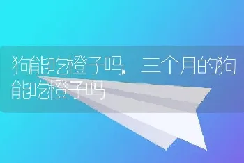 狗能吃橙子吗,三个月的狗能吃橙子吗