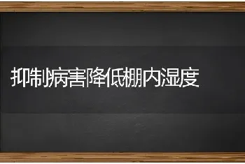 抑制病害降低棚内湿度