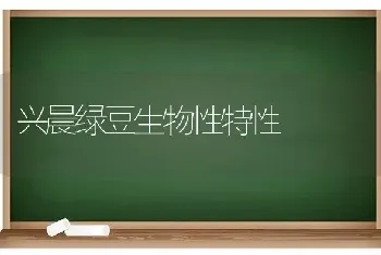 兴晨绿豆生物性特性