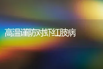 高温谨防对虾红肢病