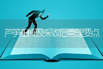 芦笋田间及采收后管理要点