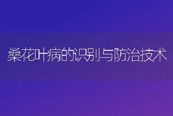 桑花叶病的识别与防治技术