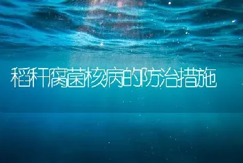 稻秆腐菌核病的防治措施