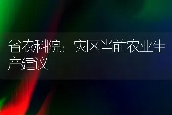 省农科院：灾区当前农业生产建议