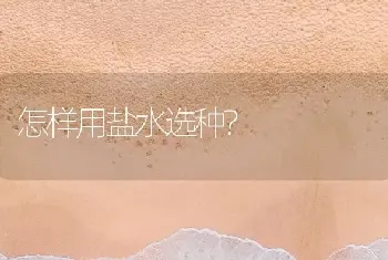 怎样用盐水选种?