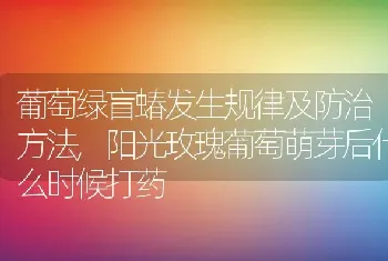 葡萄绿盲蝽发生规律及防治方法