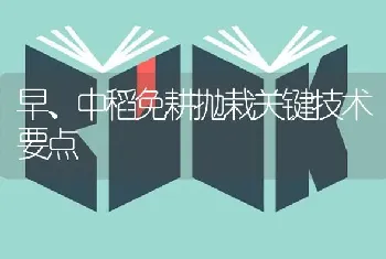 早、中稻免耕抛栽关键技术要点