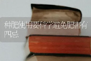 种肥使用要科学避免肥害有四忌