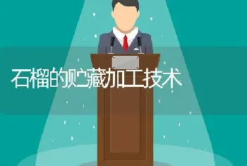 石榴的贮藏加工技术