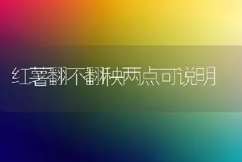 红薯翻不翻秧两点可说明