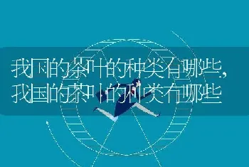 玉树花的养殖方法和注意事项