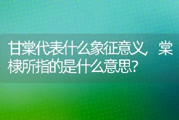 甘棠代表什么象征意义