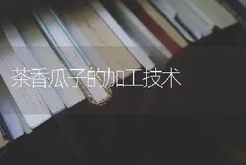 茶香瓜子的加工技术