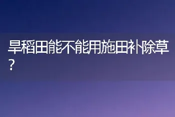 旱稻田能不能用施田补除草?