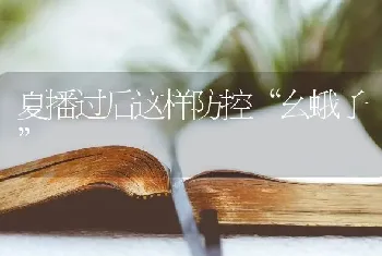 夏播过后这样防控“幺蛾子”