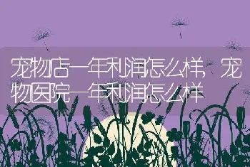 宠物店一年利润怎么样,宠物医院一年利润怎么样