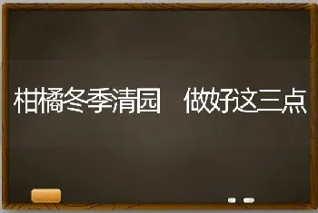 柑橘冬季清园 做好这三点