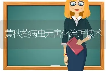 黄秋葵病虫无害化治理技术