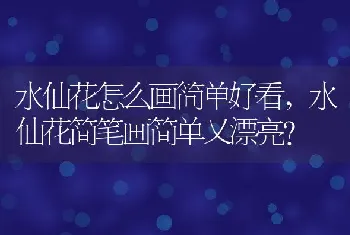 水仙花怎么画简单好看