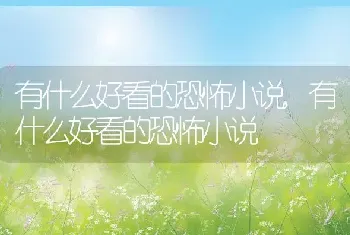 有什么好看的恐怖小说