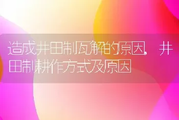 造成井田制瓦解的原因