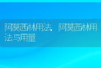 阿莫西林用法