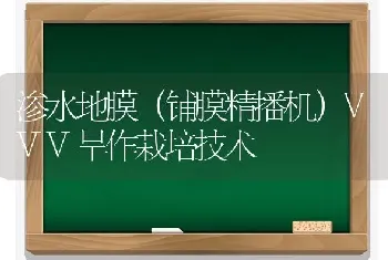 渗水地膜(铺膜精播机)VVV旱作栽培技术