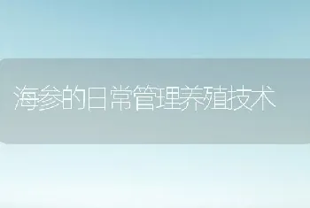 海参的日常管理养殖技术