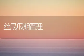 丝瓜瓜期管理