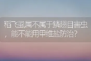 稻飞虱属不属于鳞翅目害虫,能不能用甲维盐防治?