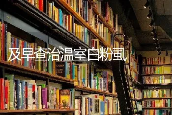 及早查治温室白粉虱