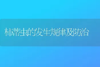 柿蒂虫的发生规律及防治